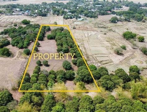 Land for Sale in Nueva Ecija .